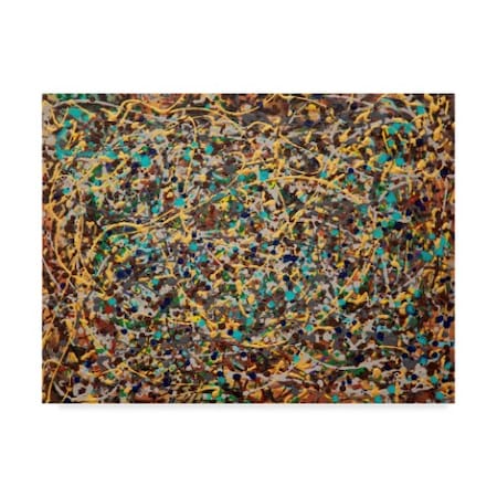 Hilary Winfield 'Spin Splatter' Canvas Art,35x47